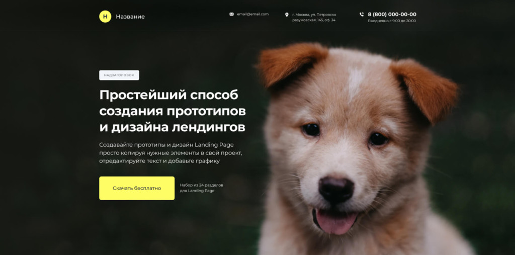 Примеры дизайна сайтов в Figma. Первый экран. Собака на фото.
